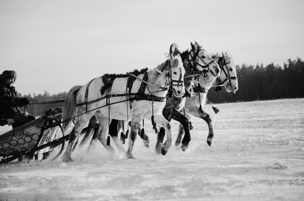 Photograph by Елена Коновалова