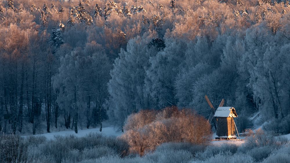 Фотография автора Борис Коновалов
