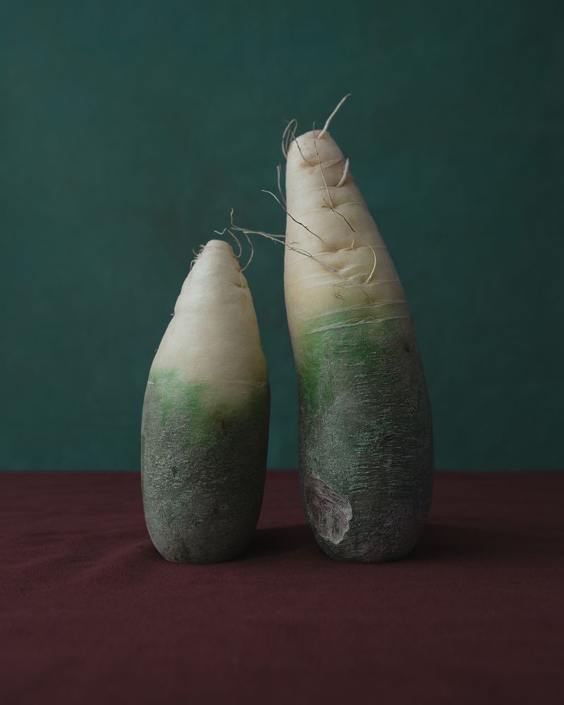 Photograph by Marina Eng