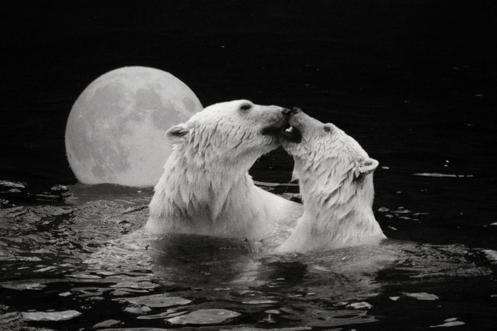 Photograph by Юлия Лушникова