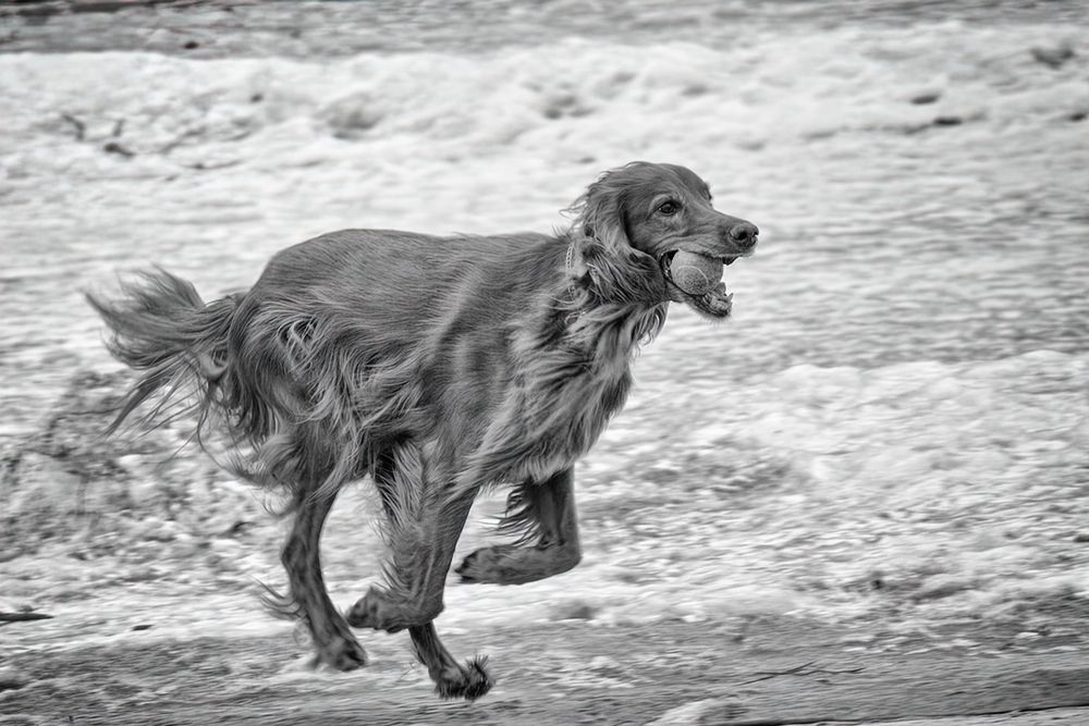 Photograph by Антипов Игорь