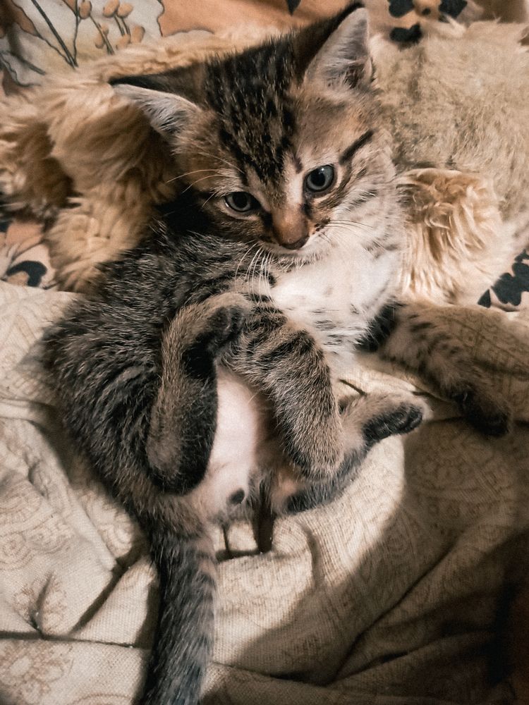 Photograph by Татьяна Долгушева