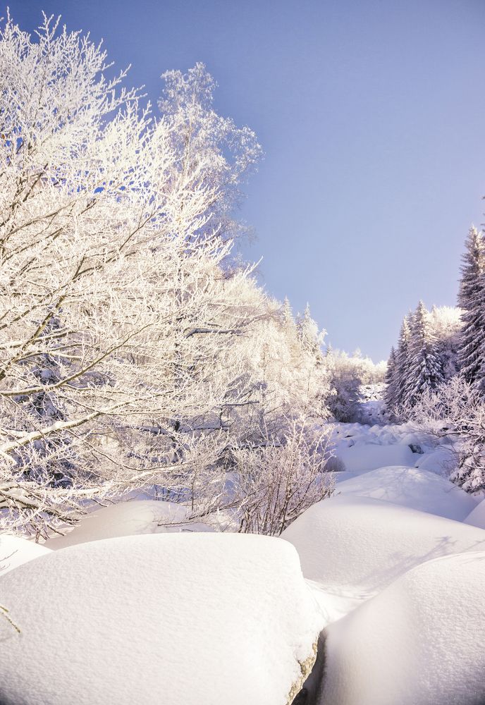 Фотография автора Milena Ivanova