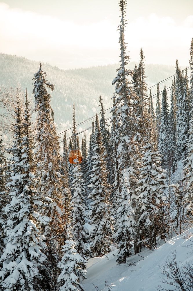 Photograph by Nataly Cook