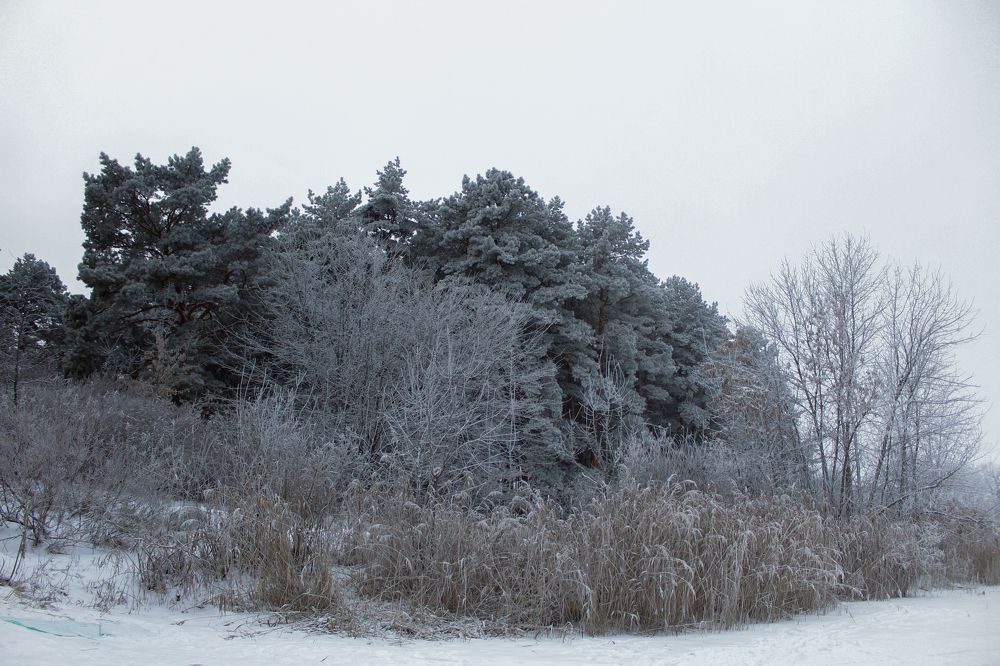 Photograph by Анна Зайченко