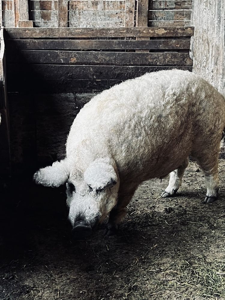 Photograph by Анастасия Денисенко