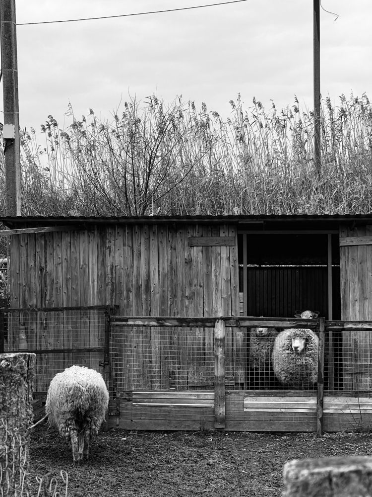 Photograph by Анастасия Денисенко