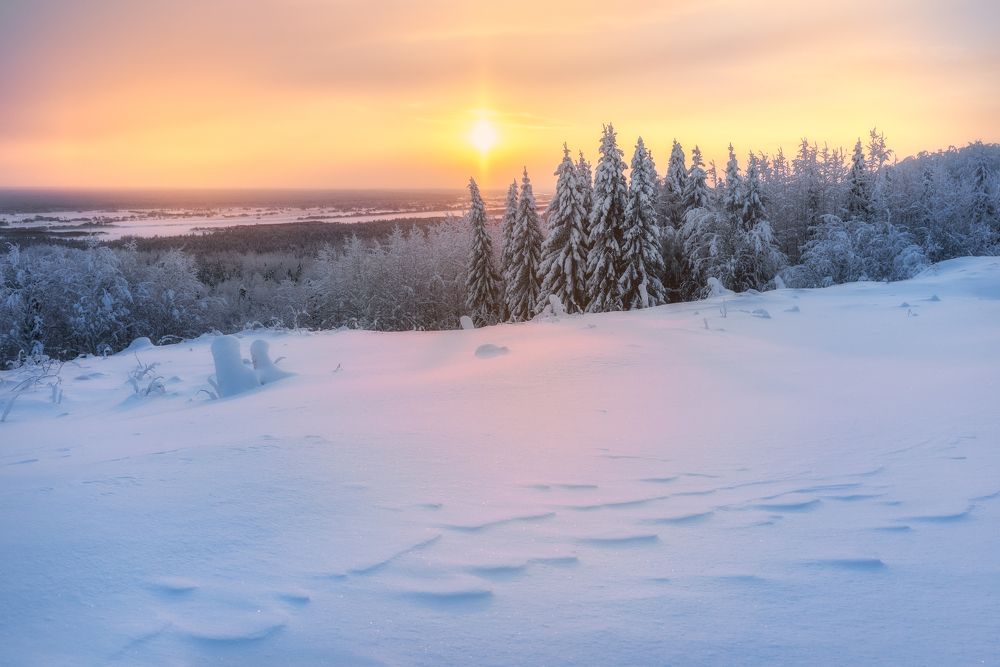 Photograph by Михаил Карпов