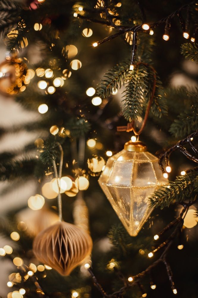 Photograph by Лазарева Анна Игоревна