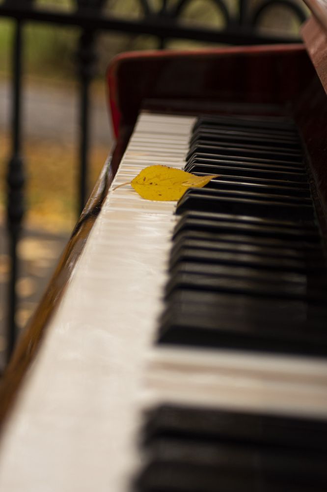 Photograph by Николай Грекалов