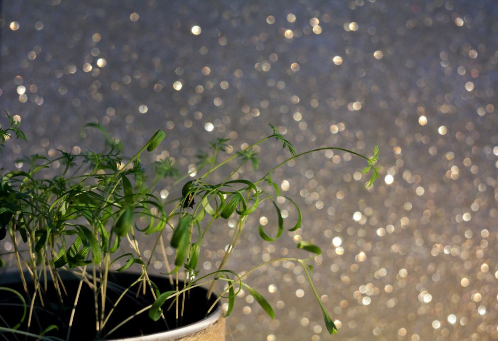 Photograph by Наталья Соловьева