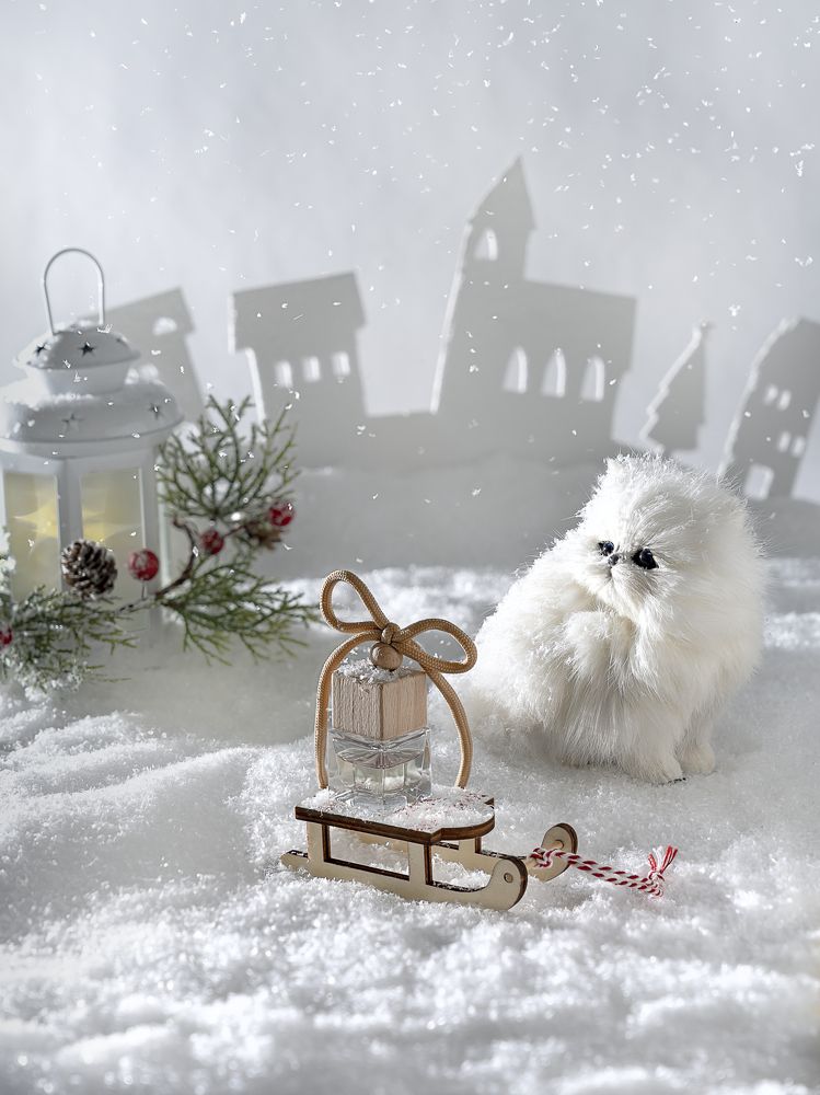 Снежный кот