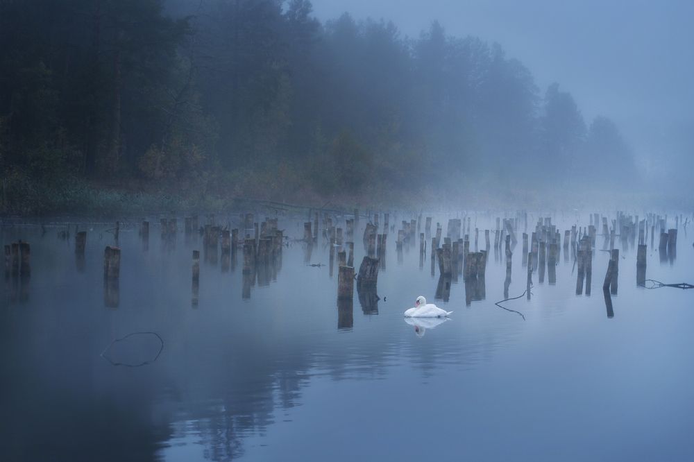 Photograph by Игорь Денисов