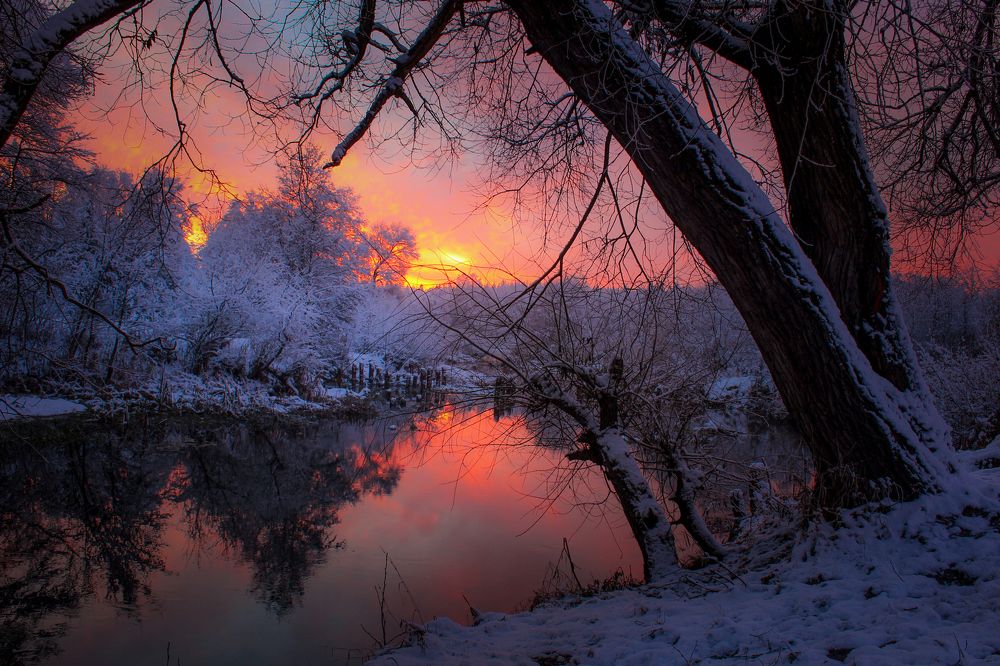 Photograph by Игорь Денисов