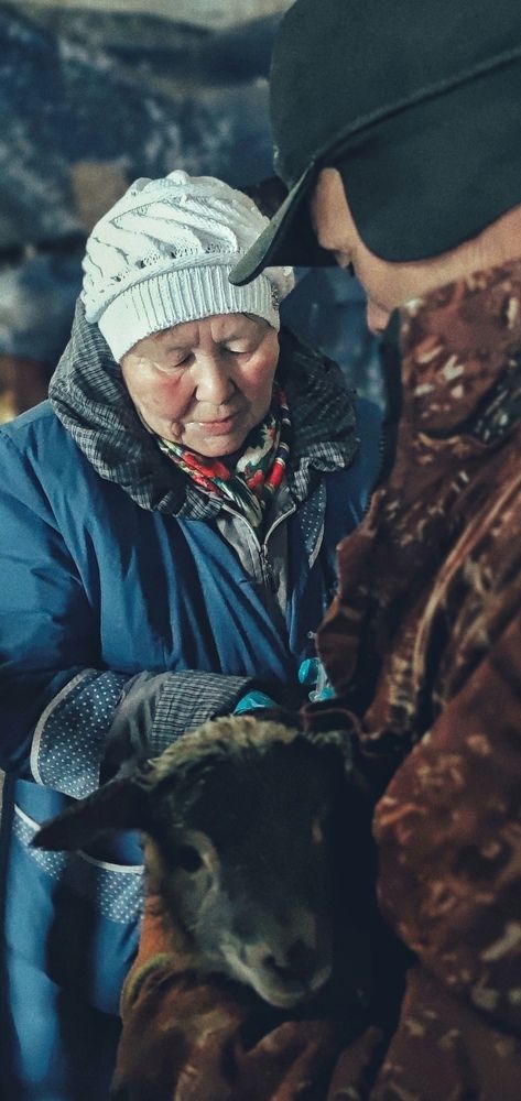 Photograph by Эдуард Саитгалеев