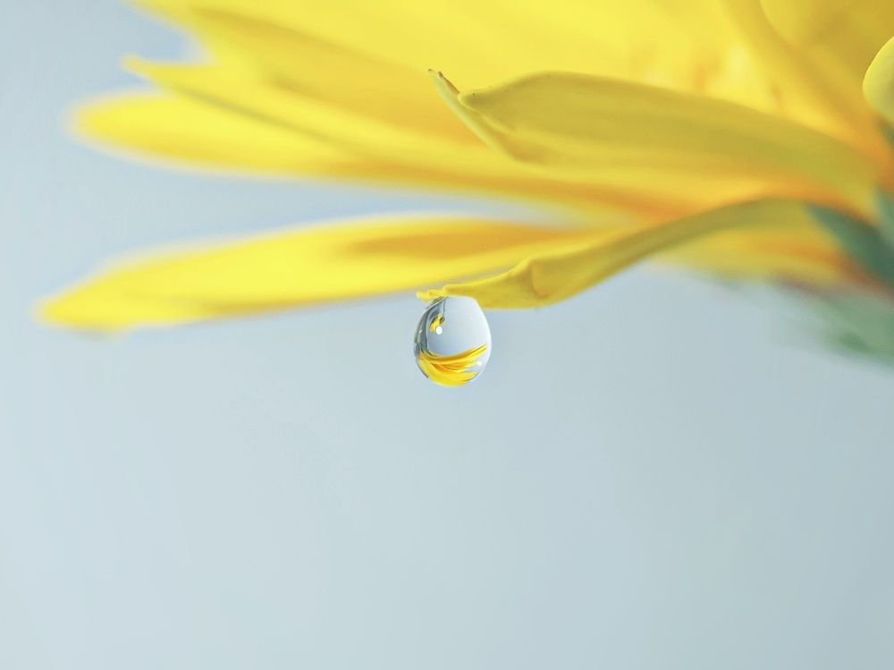 Photograph by NGUYEN LIEN