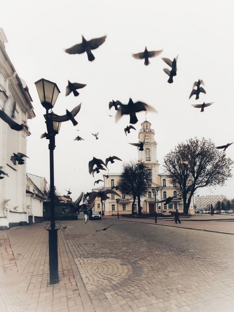 Photograph by Ольга Сучкова