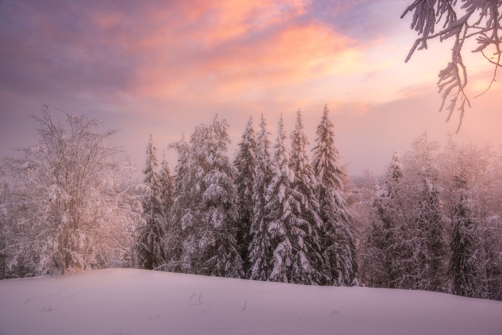 Photograph by Михаил Карпов