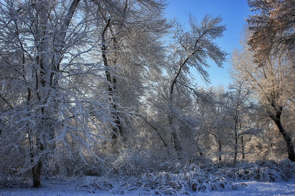 Photograph by Sergey Velichko