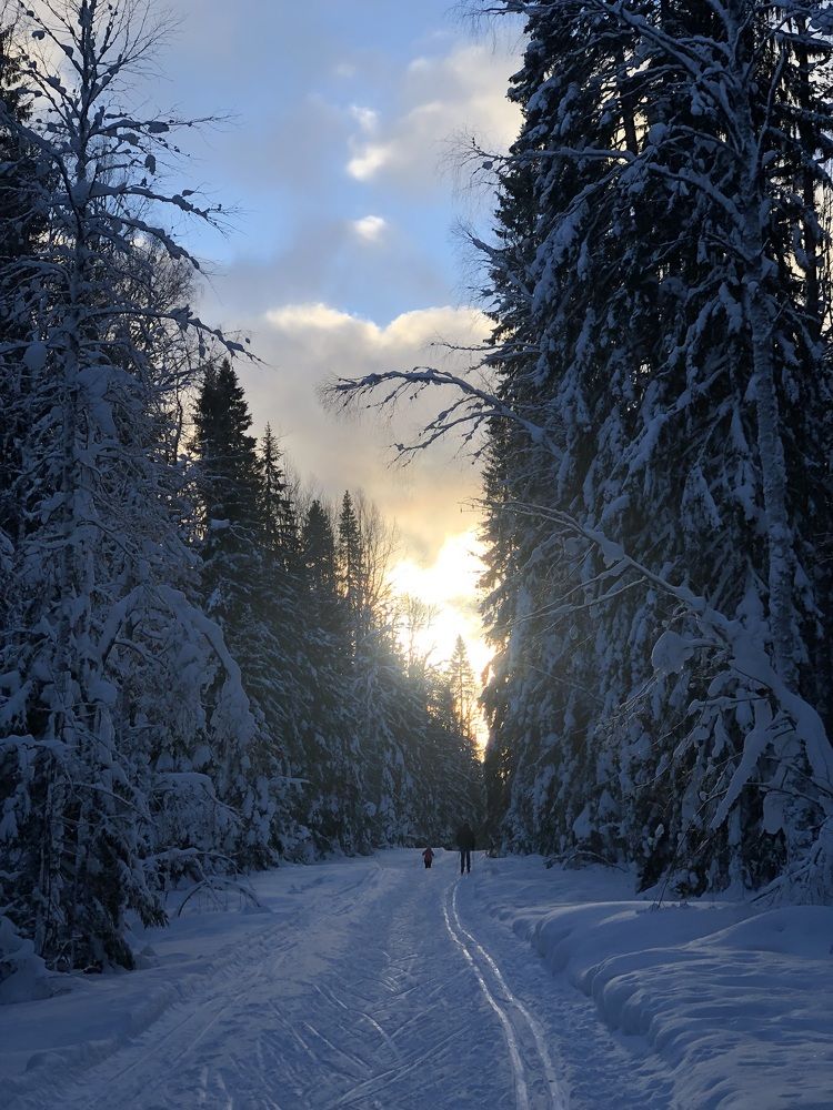 Утреннее катание на лыжах
