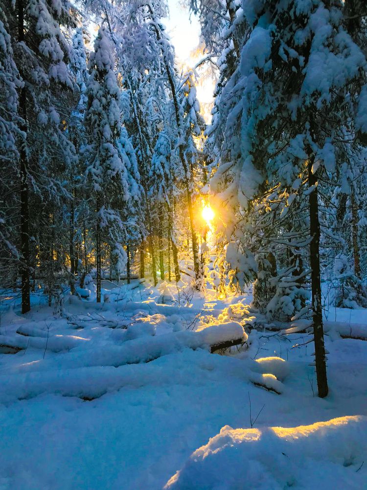 Лучи солнца