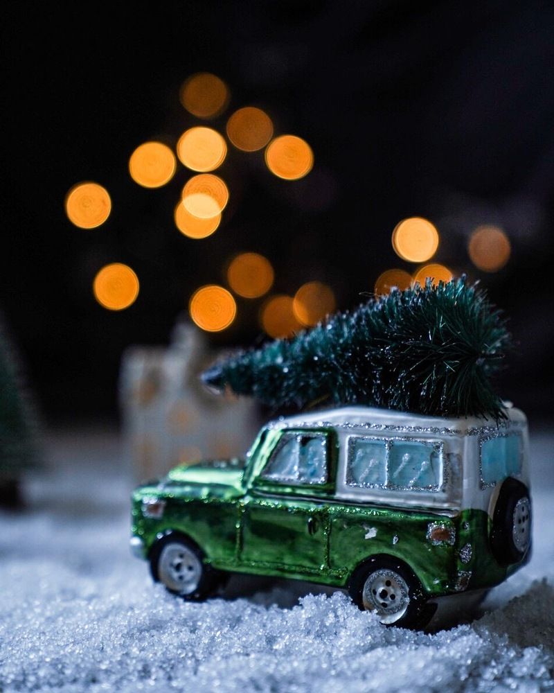 Фотография автора Yana Balatskaya