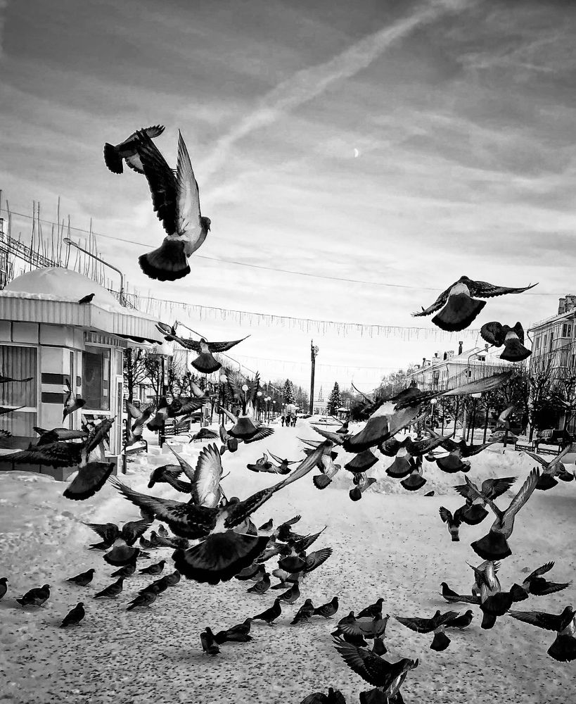 Photograph by Evgenia Privalova