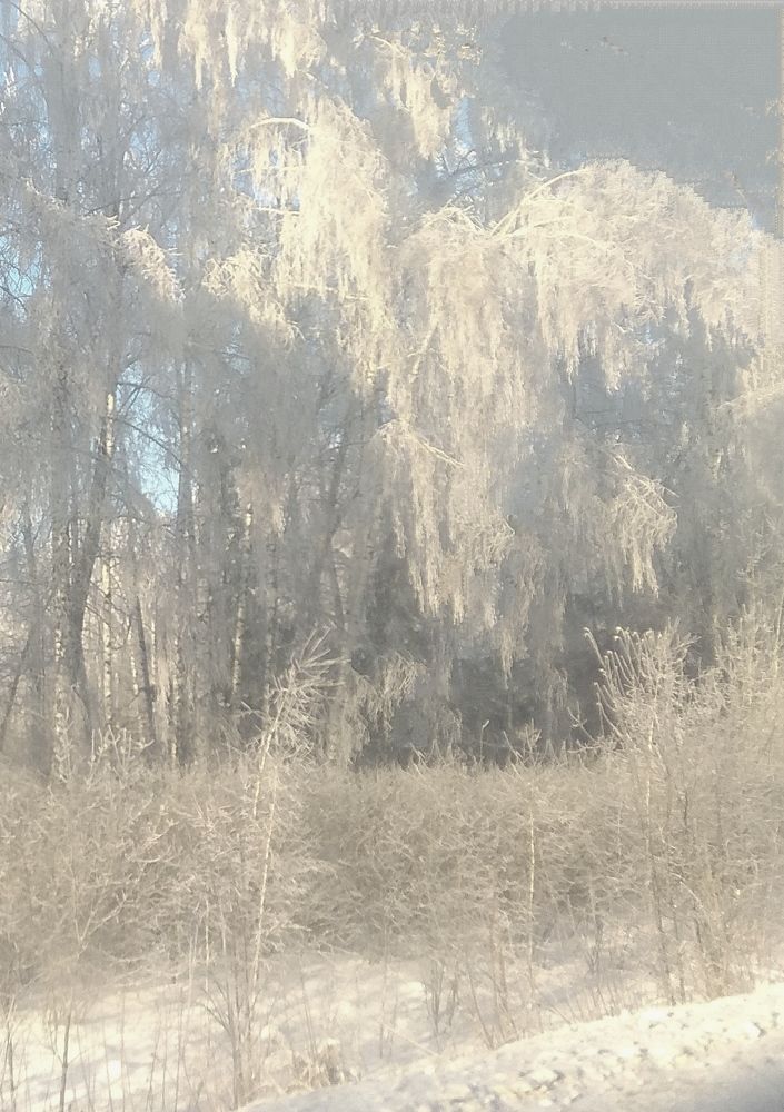 Photograph by Татьяна Кунц