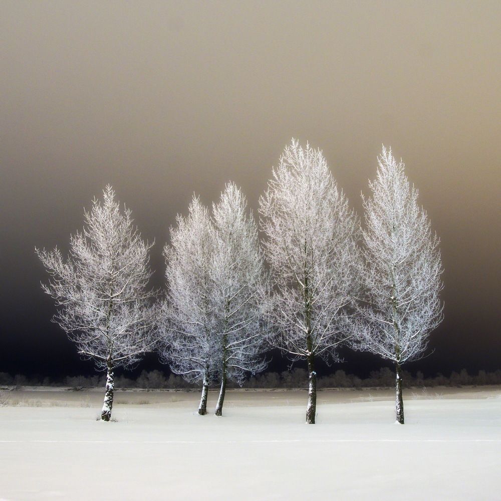 Photograph by Сергей Шляга