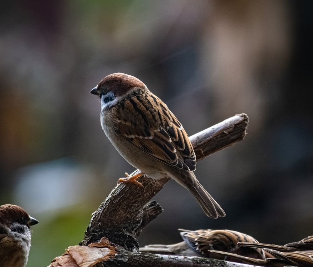 Photograph by Yuri Bohatyrov
