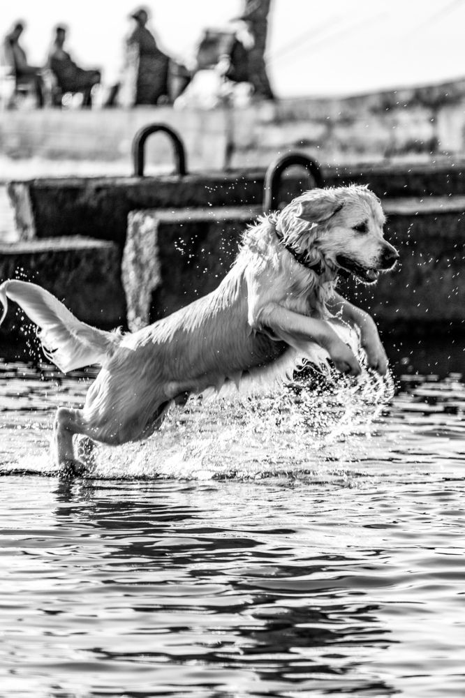 Photograph by Александр Вдовенко