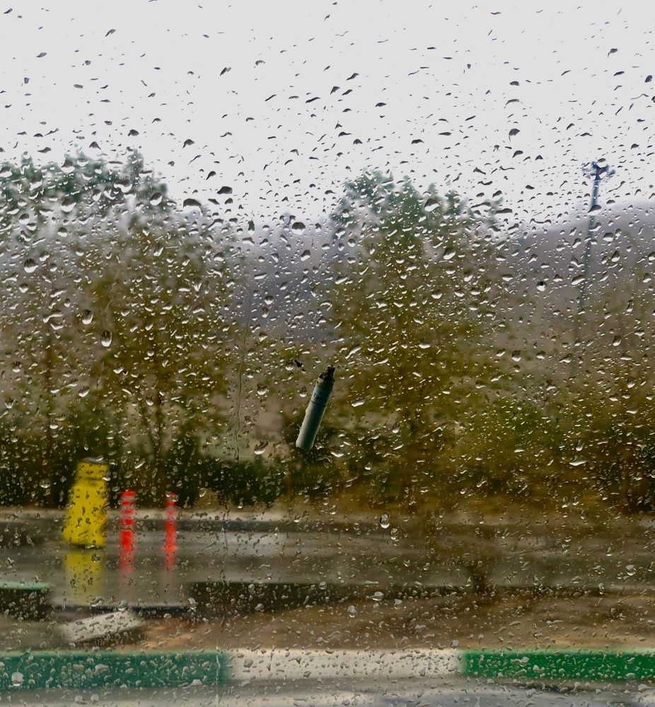 Фотография автора Faeze Eskandari