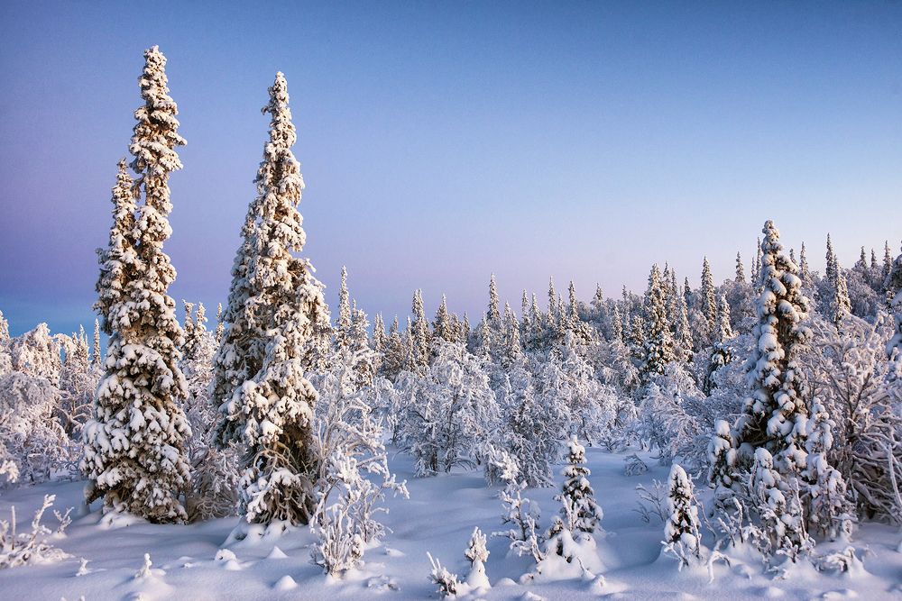Photograph by Геннадий Субач