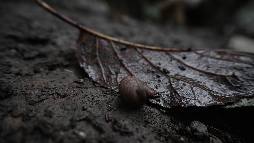 Фотография автора Faeze Eskandari