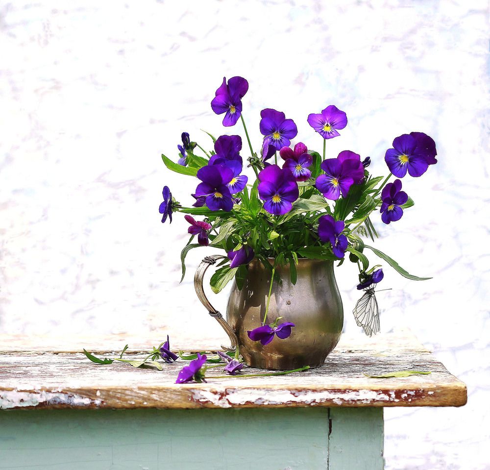 Найдите бабочку