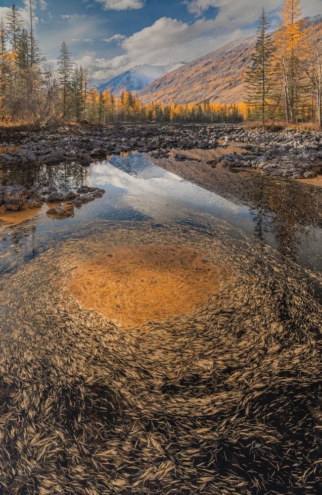 Photograph by Илья Поляк