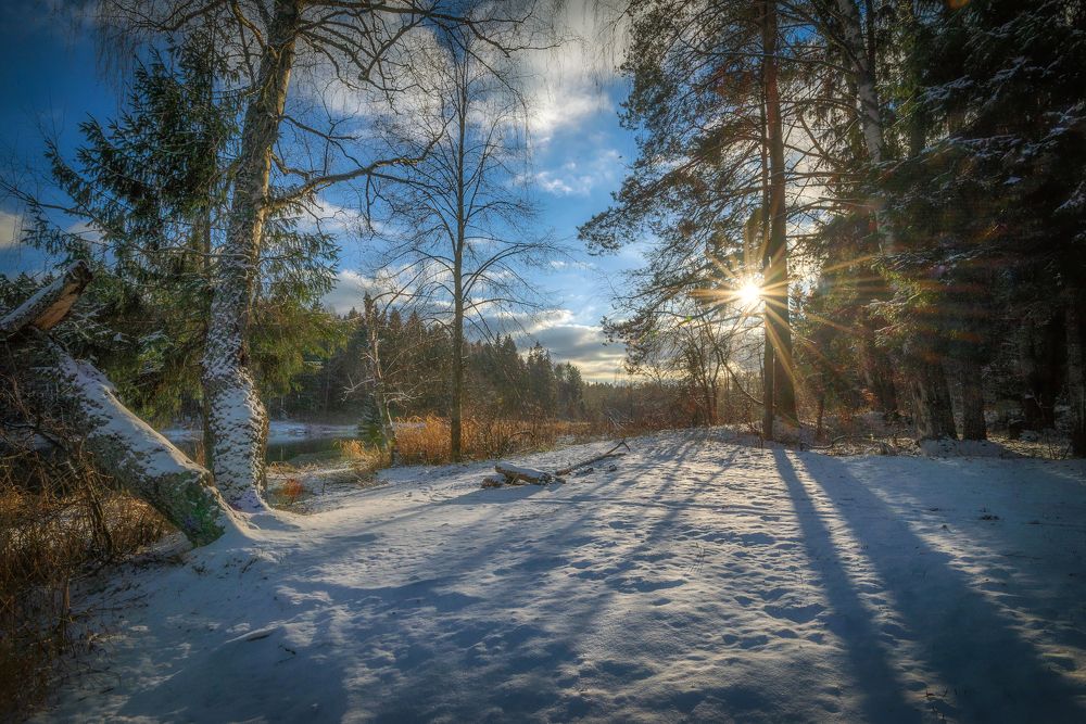 Длинные тени короткого дня