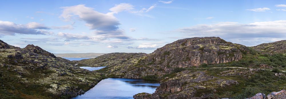 Фотография автора Наталья Василькова