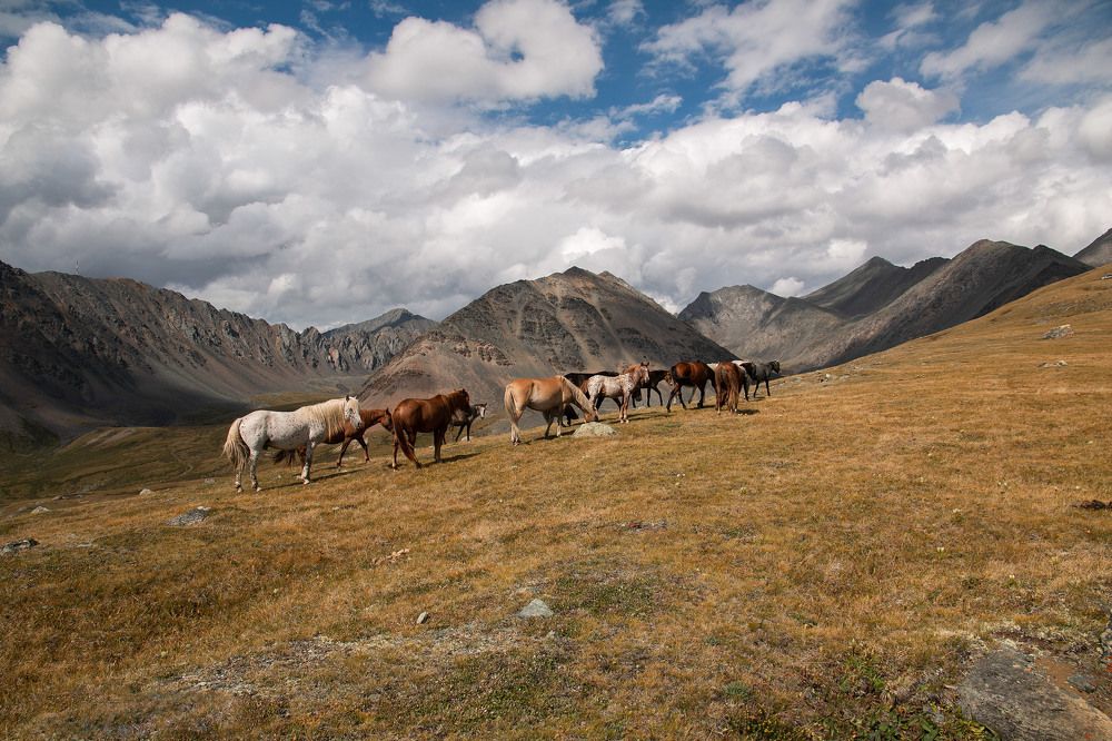 Photograph by Елена Павлова