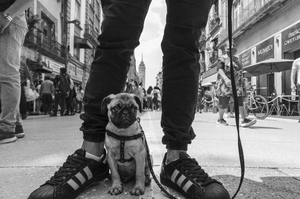 Photograph by JUAN SILVA