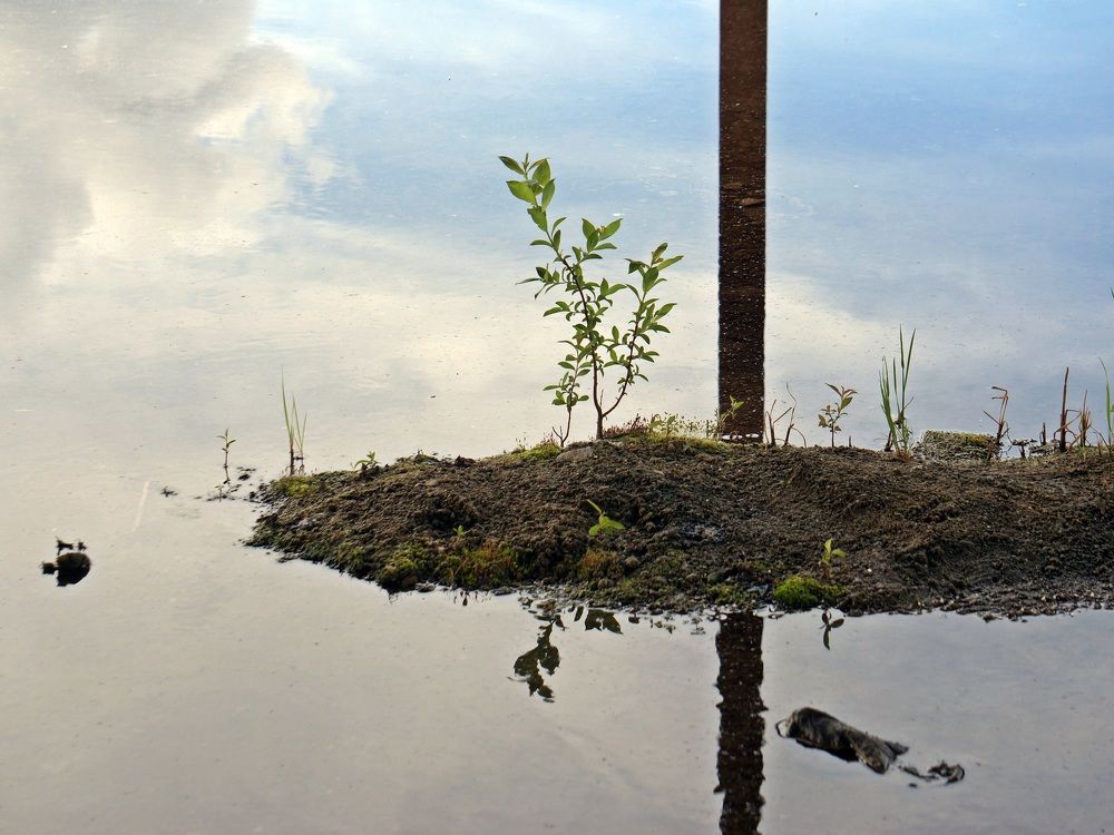 Photograph by Михаил