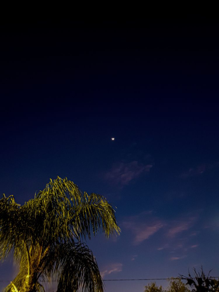 Photograph by Diego Torres