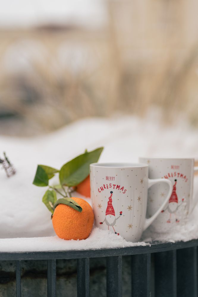 Photograph by Vialeta