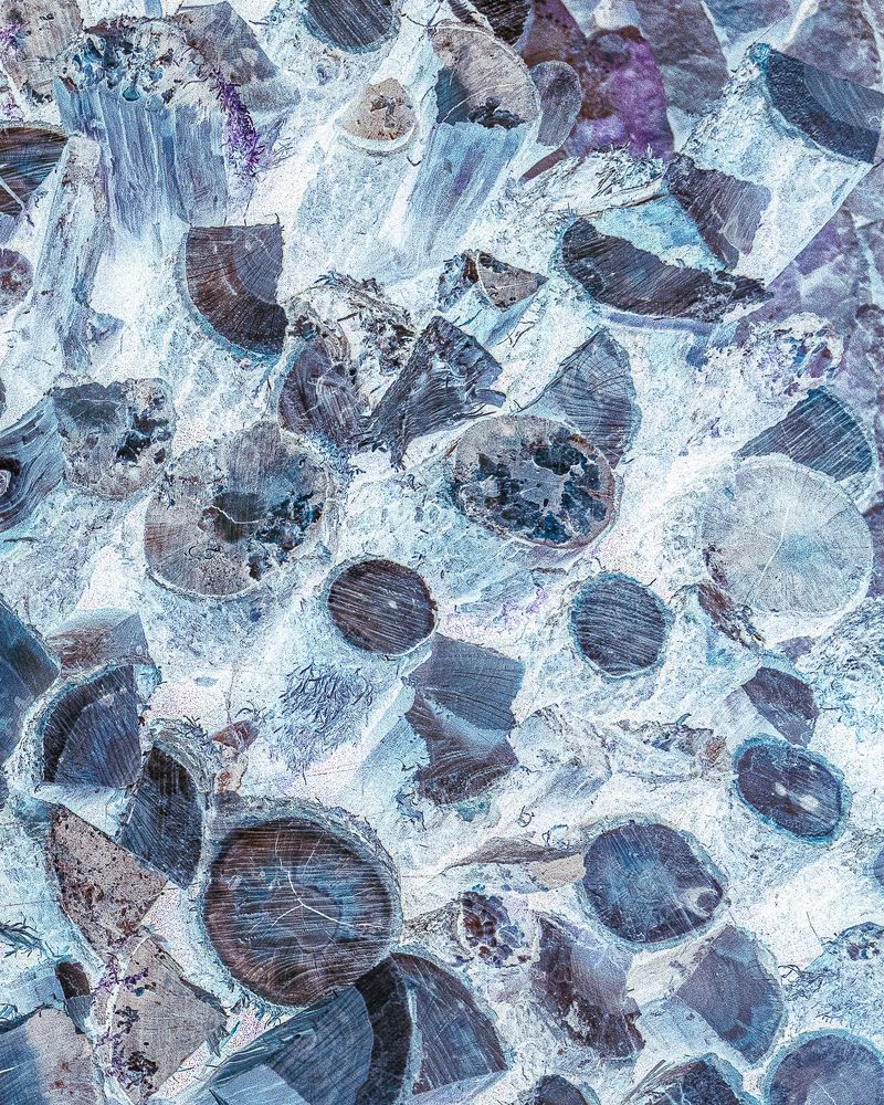 Фотография автора Анна Бориснёва