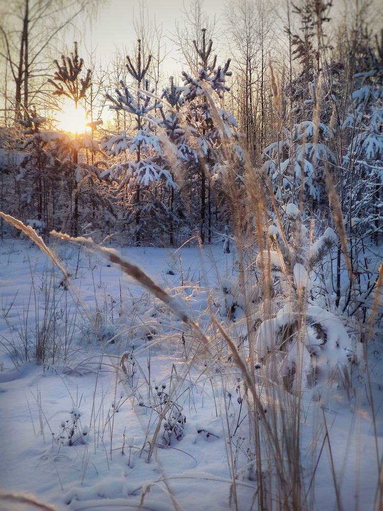 Морозный закат.