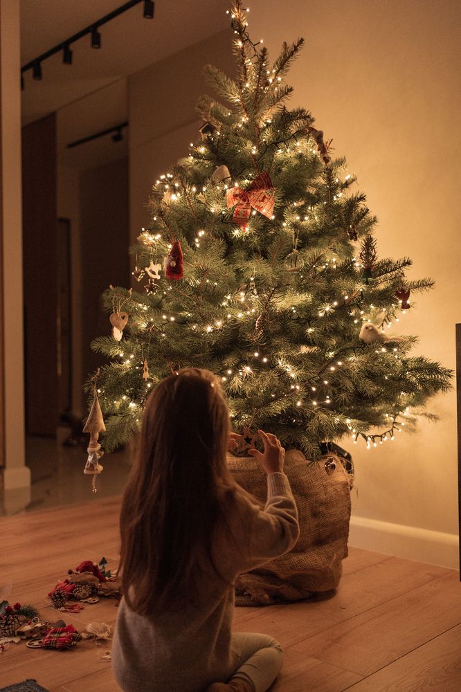 Photograph by Vialeta