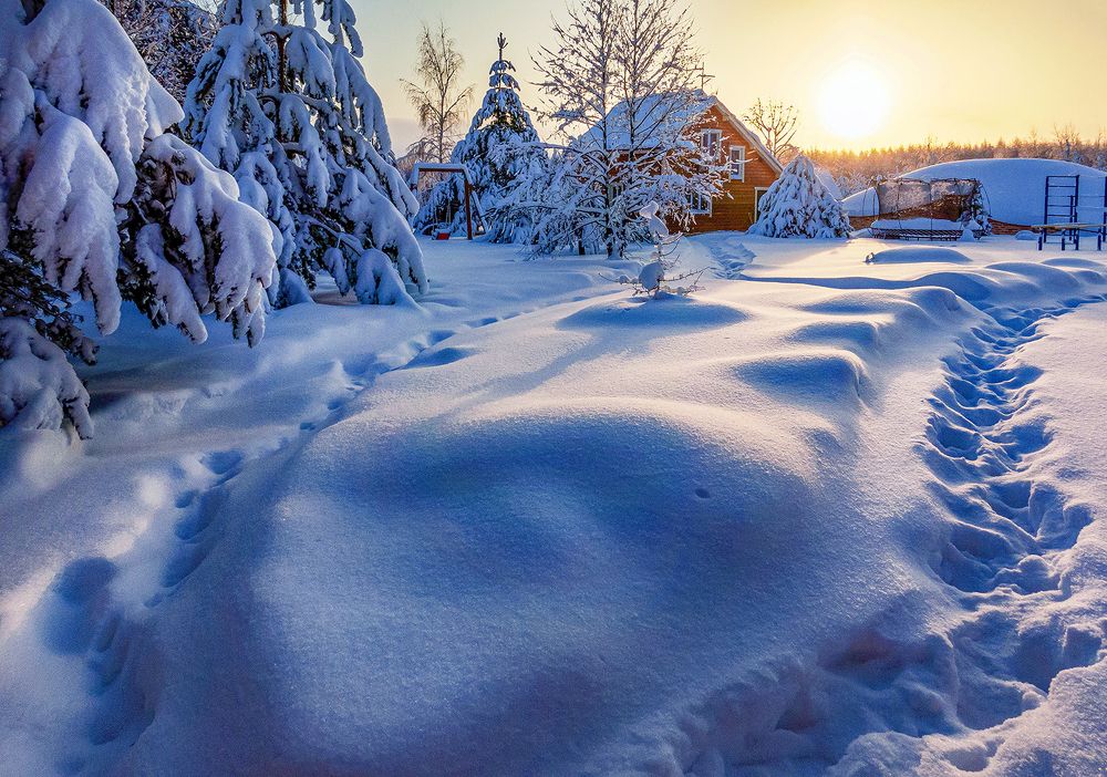 Photograph by Алексей Окунеев