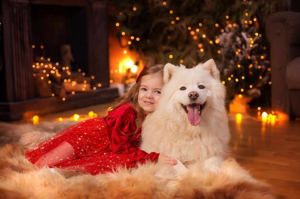 Photograph by Анна Мкртчян