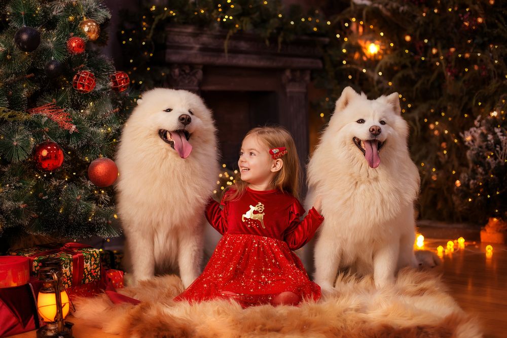 Photograph by Анна Мкртчян