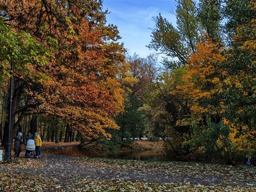 Осень в парке
